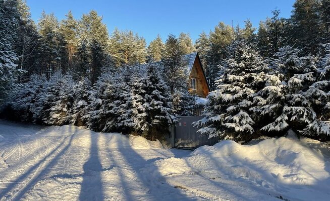 Волжское лесничество — фото 4