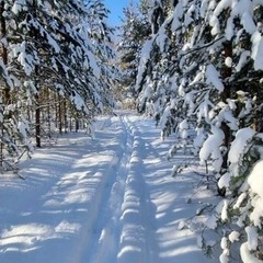Гостевой дом Волжское лесничество, Нижегородская область