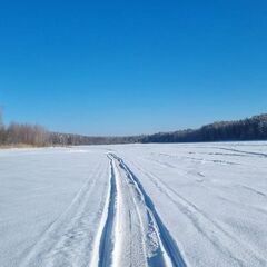 Гостевой дом Волжское лесничество, Нижегородская область