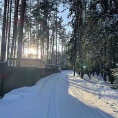 Гостевой дом Волжское лесничество, Нижегородская область