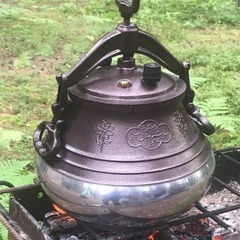 Гостевой дом Волжское лесничество, Нижегородская область