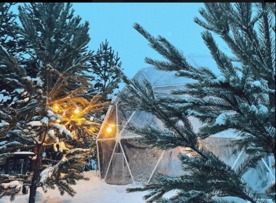 Хэллоферма — фото 2