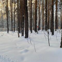 Дом Dreamhouse Village, Свердловская область