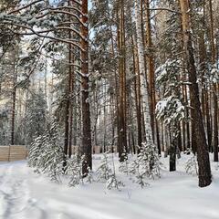 Дом Dreamhouse Village, Свердловская область