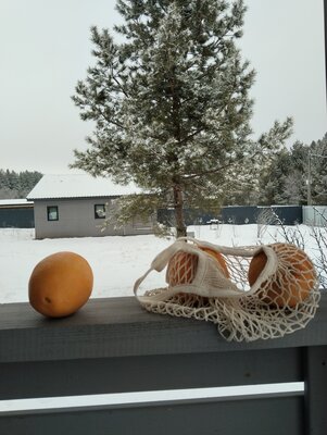 Дом в аренду Сосны.Тут — фото 4