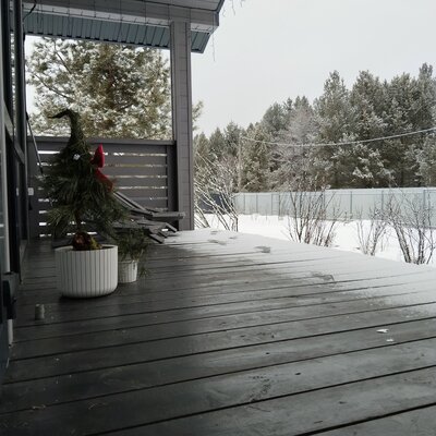 Дом в аренду Сосны.Тут — фото 5