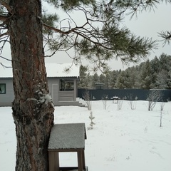 Загородный дом Дом в аренду Сосны.Тут, Самарская область