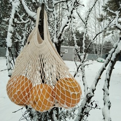 Загородный дом Дом в аренду Сосны.Тут, Самарская область