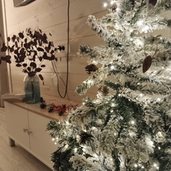 Загородный дом Дом в аренду Сосны.Тут, Самарская область