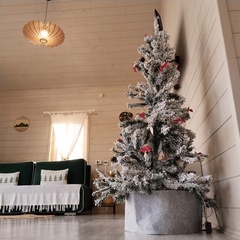 Загородный дом Дом в аренду Сосны.Тут, Самарская область