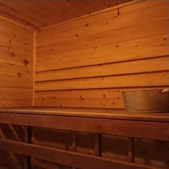 Загородный дом Дом в аренду Сосны.Тут, Самарская область