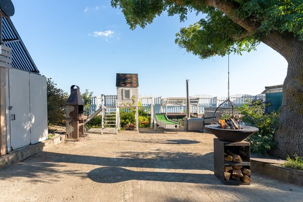 Кипарис — фото 5