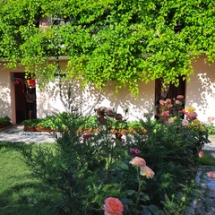 Гостевой дом Жемчужина моря, Крым