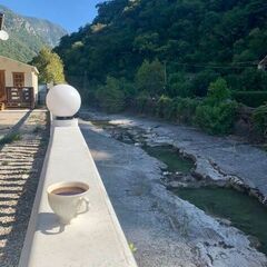 База отдыха Александрия, Гагрский район