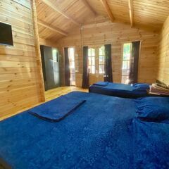 База отдыха Александрия, Гагрский район