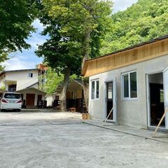 База отдыха Александрия, Гагрский район