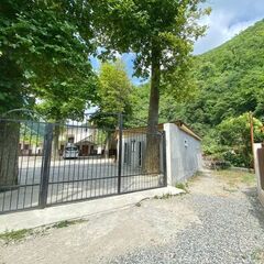 База отдыха Александрия, Гагрский район