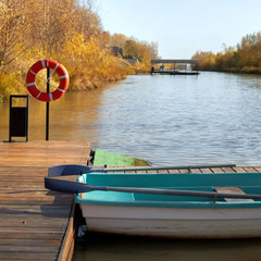 База отдыха База отдыха Бриз, Самарская область