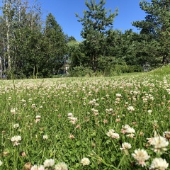 Гостевой дом Усадьба Рыбак с семьей, Ленинградская область