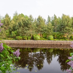 Гостевой дом Усадьба Рыбак с семьей, Ленинградская область