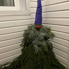 Гостевой дом Усадьба Рыбак с семьей, Ленинградская область