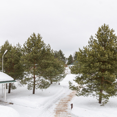 Гостевой дом Усадьба Рыбак с семьей, Ленинградская область
