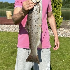 Гостевой дом Усадьба Рыбак с семьей, Ленинградская область