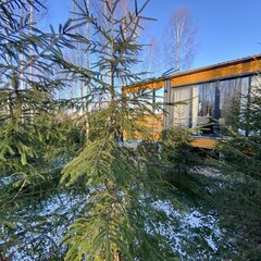 Загородный дом ЕлкиШале с баней и чаном у леса, Московская область