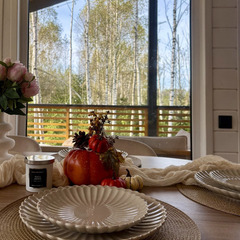 Загородный дом ЕлкиШале с баней и чаном у леса, Московская область