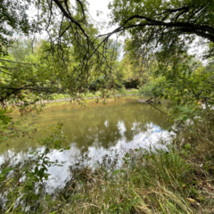 База отдыха У реки, Самарская область