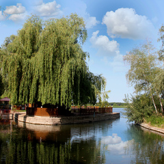 Гостевой дом Березка, Ростовская область