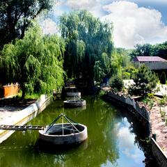 Гостевой дом Березка, Ростовская область