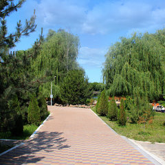 Гостевой дом Березка, Ростовская область