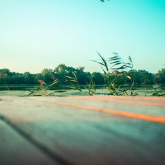 Гостевой дом Березка, Ростовская область