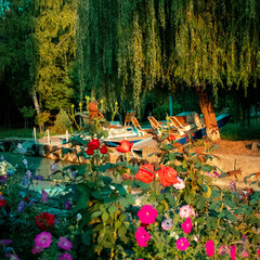 Гостевой дом Березка, Ростовская область