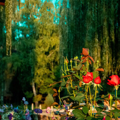 Гостевой дом Березка, Ростовская область