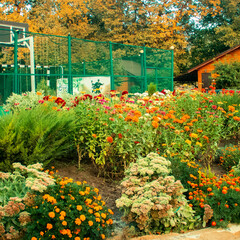 Гостевой дом Березка, Ростовская область