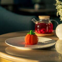 Санаторий Плаза SPA, Ставропольский край