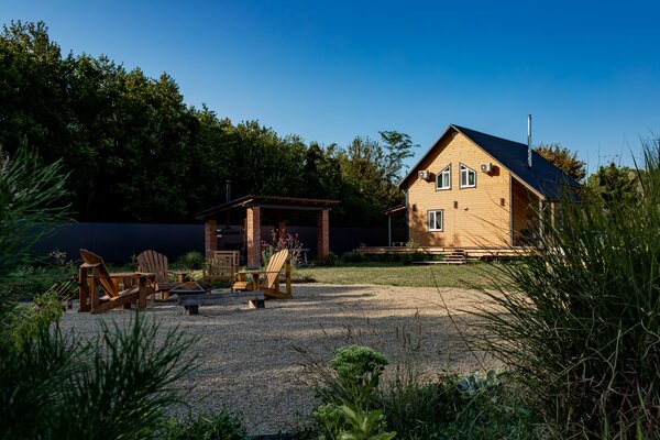 Лисы — фото 2