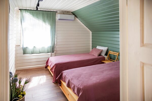 Лисы — фото 1