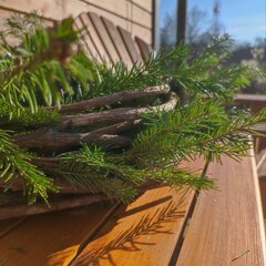 Гостевой дом Лисы, Краснодарский край