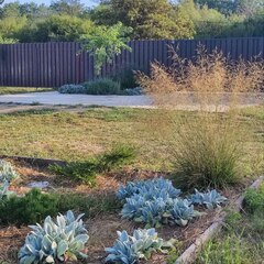 Гостевой дом Лисы, Краснодарский край