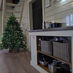 Гостевой дом Лисы, Краснодарский край