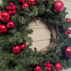 Гостевой дом Лисы, Краснодарский край