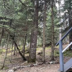 База отдыха 7 Звезд, Республика Карачаево-Черкесия 