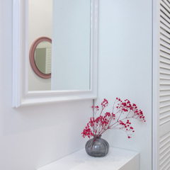 Апартаменты Птичка, Московская область