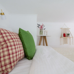 Апартаменты Птичка, Московская область