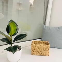 Апартаменты Птичка, Московская область