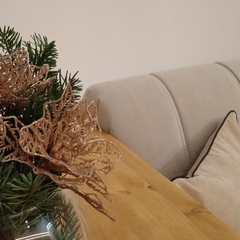 Апартаменты Птичка, Московская область