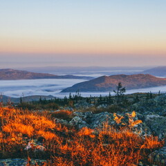 Коттеджный комплекс Таежное, Челябинская область